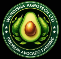 Avogold Logo - Full Color